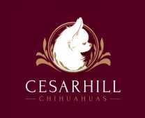 Cesarhill